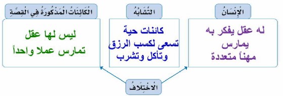 أوجه التشابه والاختلاف بين الإنسان والكائنات المذكورة في القصة